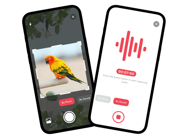 Bird identification app interface showing bird call and photo identification features